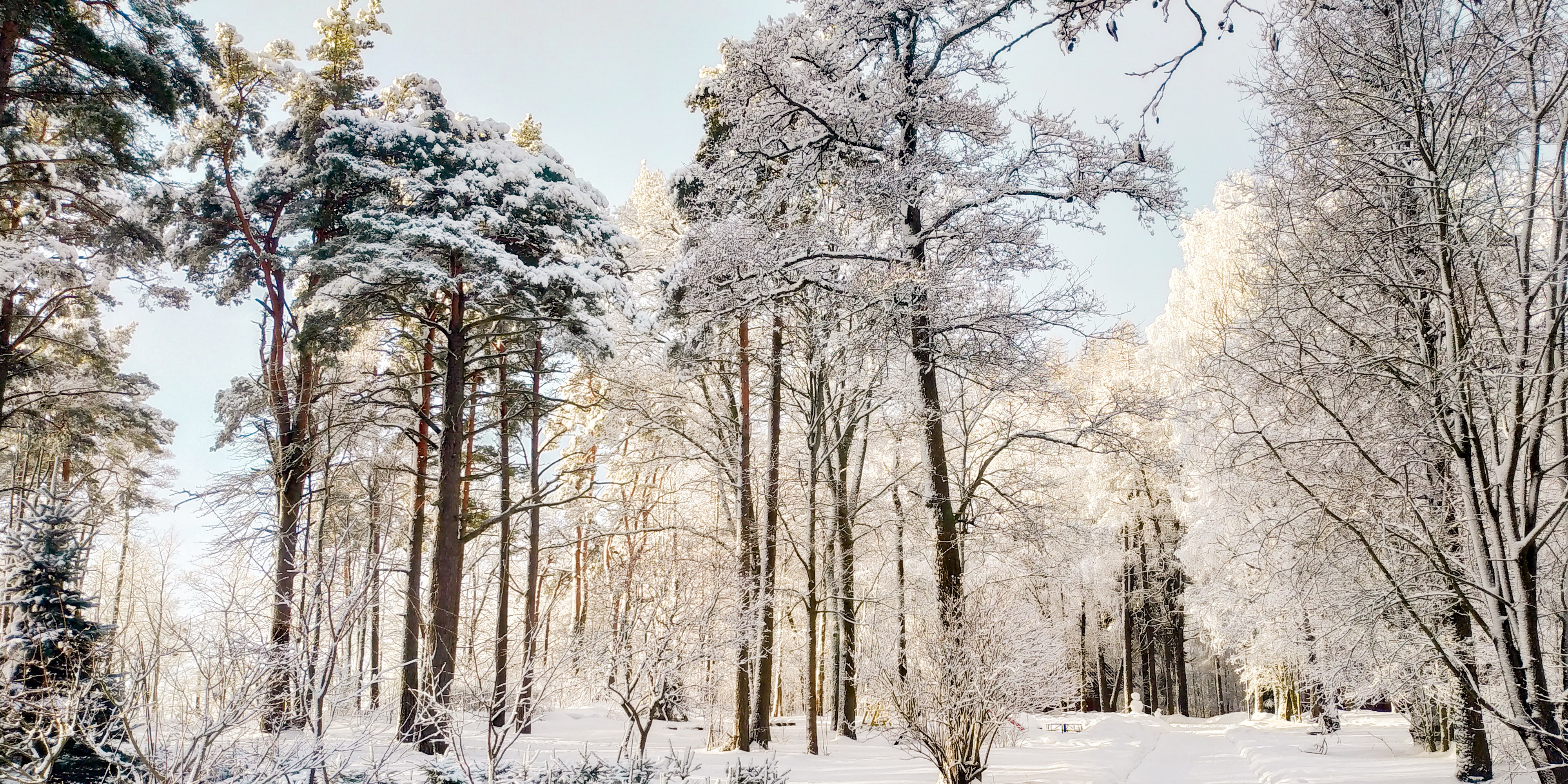 Гелиос Отель в Зеленогорске |