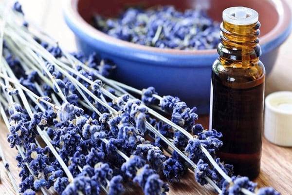 Гелиос Отель в Зеленогорске |