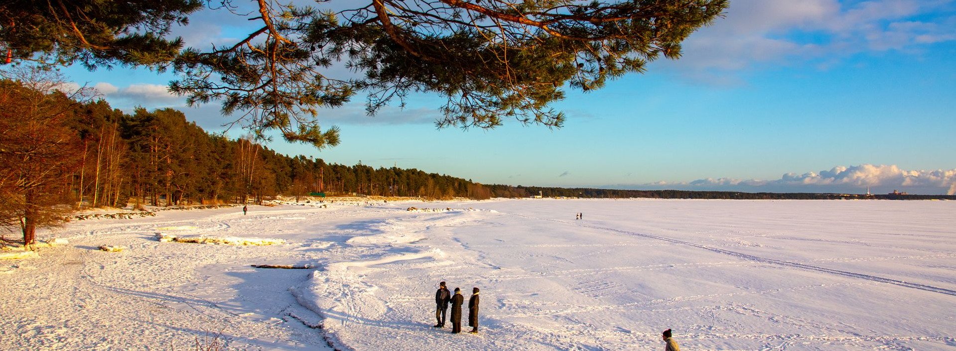 Гелиос Отель в Зеленогорске | 